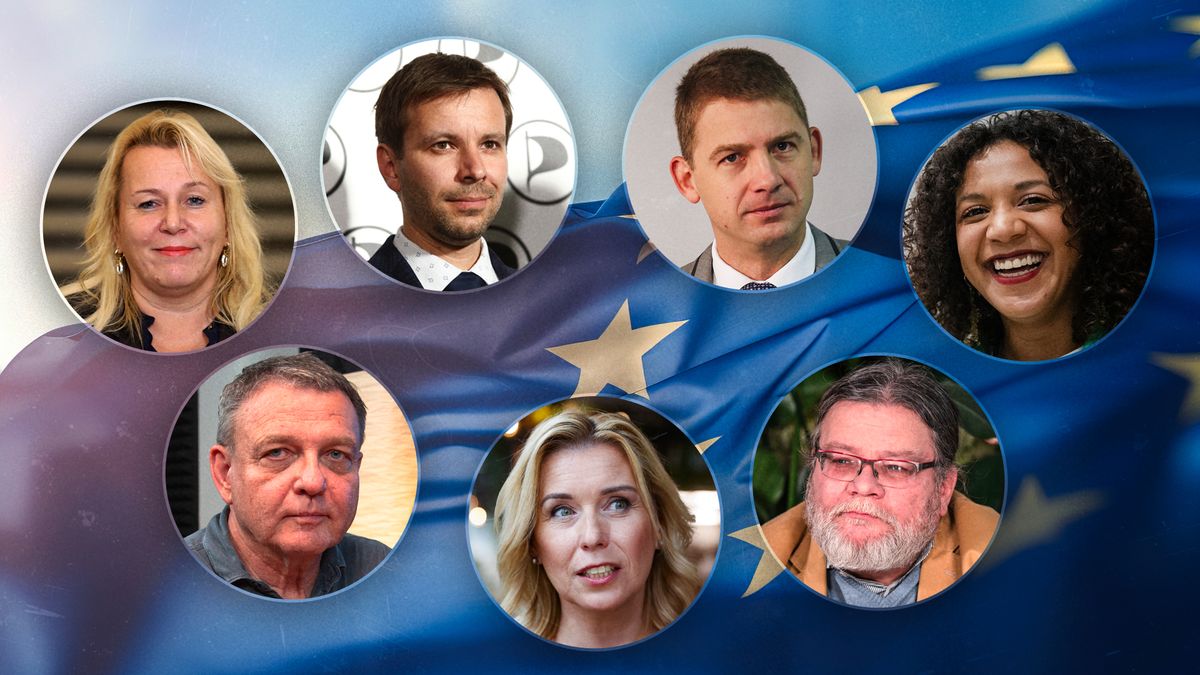 PŘEHLEDNĚ: Kdo bude kandidovat ve volbách do Evropského parlamentu